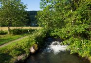 Klaus-Peter Kappest, Schmallenberger Sauerland Tourismus
