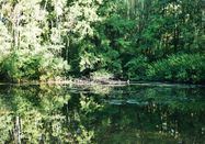 Kreis Recklinghausen