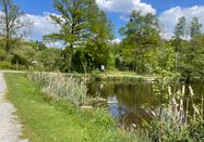 Naturpark Arnsberger Wald - Janine Plugge
