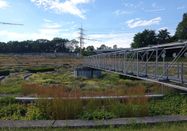 Stadt Bottrop, Diana Pawelczak 