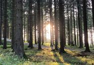 Tourist-Information Willingen