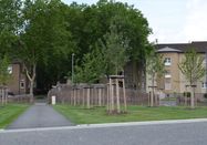 Stadt Dinslaken, Gesa Scholten