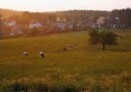 Klaus-Peter Kappest, Schmallenberger Sauerland Tourismus
