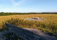 Wirtschafts- und Tourismus GmbH Möhnesee