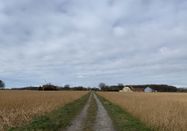 Susanne Westermann, Flora Westfalica -FGS- Fördergesellschaft Wirtschaft und Kultur mbH Rheda-Wiedenbrück