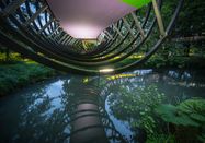 Dennis Stratmann Photography