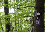 Touristik Medebach